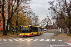 Mercedes-Benz O530G C2 #8530