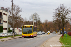 Mercedes-Benz O530 #7344