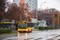 Mercedes-Benz O530 #7313