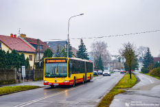 Mercedes-Benz O530G #8335