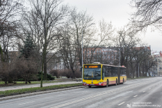 Mercedes-Benz O530G #8313