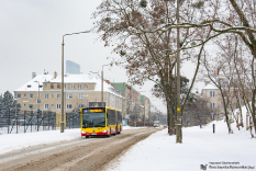 Mercedes-Benz O530G C2 #8519