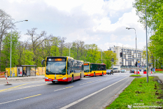 Mercedes-Benz O530 C2 #7446