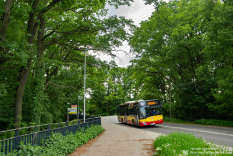 Autobusy 2021