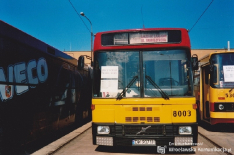 Jelcz M180 #8003