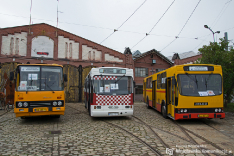 Ikarus 260.32 #3932, Jelcz M11 #272 i Jelcz PR110M #003