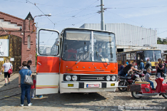 Ikarus 256 #D2 9493