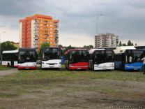 Solaris Urbino 18 Hybrid, Solaris InterUrbino 12, Solaris Urbino 12, Solaris Urbino 12 (lotniskowy), Solaris Urbino 12 CNG