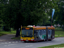 Mercedes-Benz O530G #8307