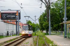 Elbląg