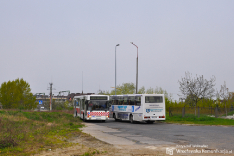 Głogów