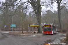 Piła