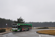Komunikacja miejska w innych miastach