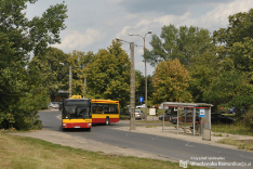 Komunikacja miejska w innych miastach