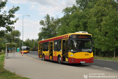 Jelcz M121I4 #4919