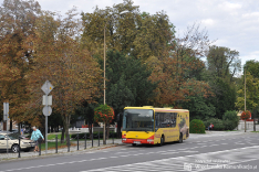 Irisbus Crossway 12LE #41