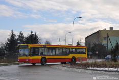 Komunikacja miejska w innych miastach