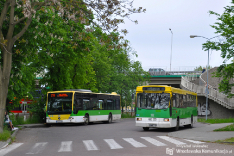 Jelcz M121M #202 & Mercedes-Benz Conecto LF #406