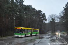 Zielona Góra