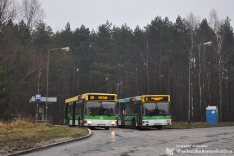 MAN NL222 #206 & MAN NG262 #181