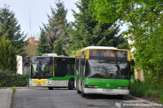 Neoplan N4011NF #24