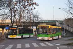 Jelcz M121M #204 & MAN NL263 Lion's City #216