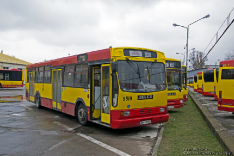 Jelcz M121M #9519