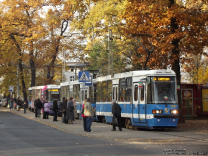 Wszystkich Świętych 2011