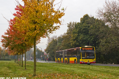 Wszystkich Świętych 2014