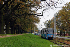 Wszystkich Świętych 2017
