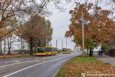 Wszystkich Świętych 2019