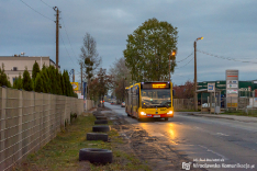 Mercedes-Benz O530G #8443