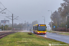 Mercedes-Benz O530G #8445