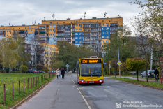 Wszystkich Świętych 2019