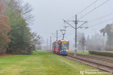 Wszystkich Świętych 2019