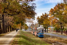 Wszystkich Świętych 2021