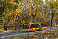 Mercedes-Benz O530G C2 #8517