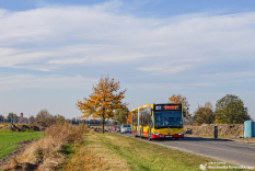 Mercedes-Benz O530G C2 #8434