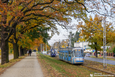 Wszystkich Świętych 2021