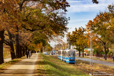 Wszystkich Świętych 2021