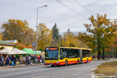 Mercedes-Benz O530G C2 #8415