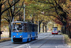 Wszystkich Świętych 2021