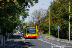 Mercedes-Benz O530G #8433