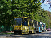 Tramwaje 2006