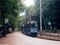 Tramwaje 2006