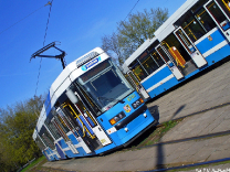 Tramwaje 2007