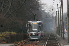Tramwaje 2008
