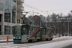 Tramwaje 2010