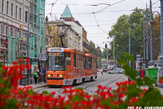 Tramwaje 2014