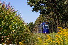 Pesa 2010NW #3203